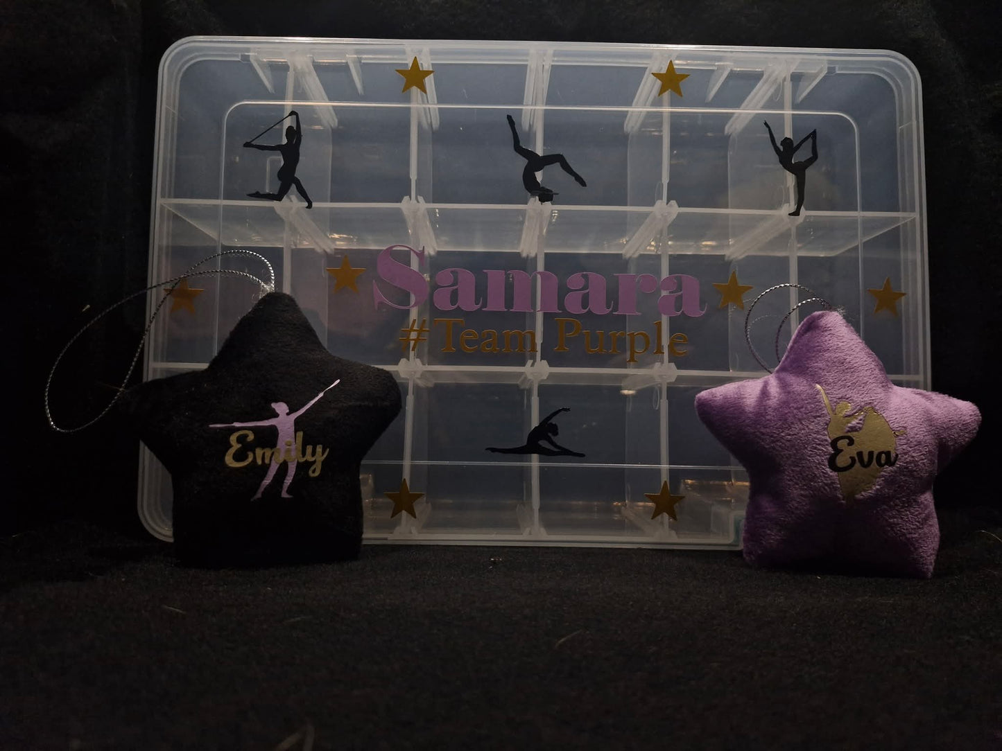 Storage Box - Calisthenics